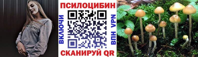 кракен онион нарко площадка наркотические препараты Галлюциногенные грибы мицелий Мытищи